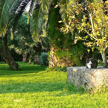 Hotel Nefeli 3*