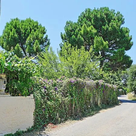 Apartment Dalia