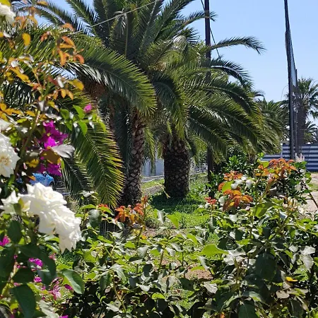 Malibu Summer Dassia (Corfu)