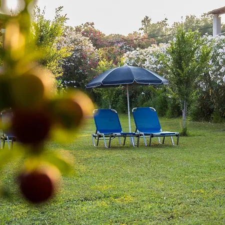 Rose Garden 2 Holiday home Kavos