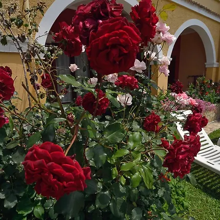 Eleni * Roda (Corfu)