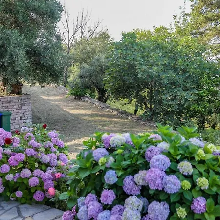 Sinies Stone - Ne Corfu Agnitsini