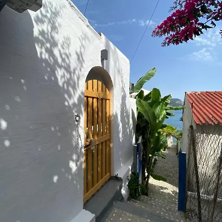 Vivaria House Holiday home *