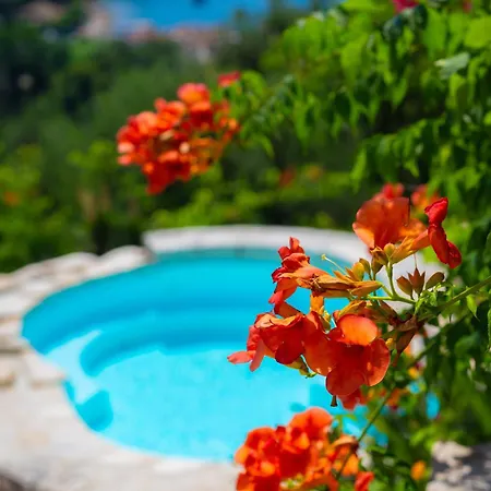 Maro * Agios Stefanos (Thinali)