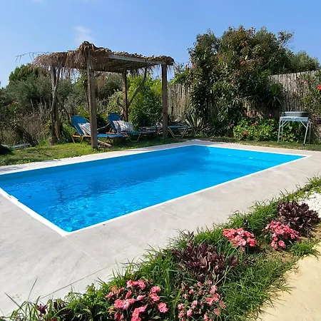 Olive And Blue Retreat Pousada
