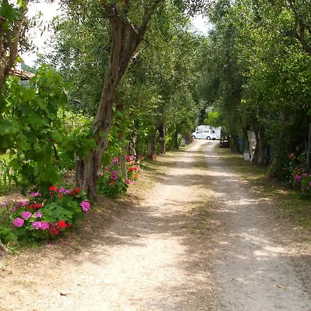 Olga's Garden Almiros Beach