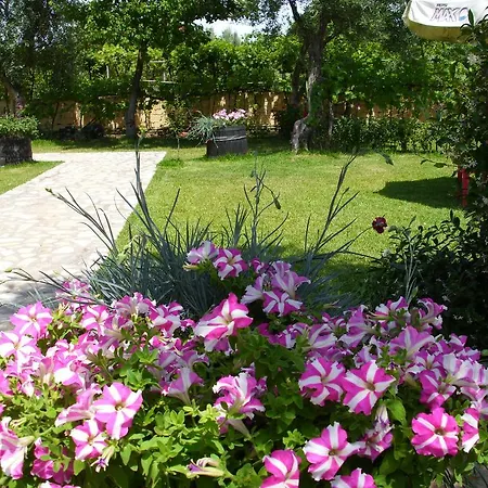 Olga's Garden *