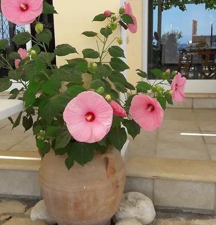 Eros Hotel Benitses (Corfu)