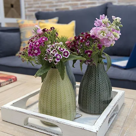 Pinia Luxury Apts Myrina & Nefeli Apartment