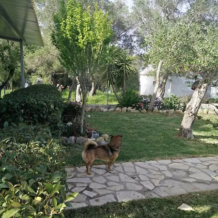 Appartement Spiti Lou *