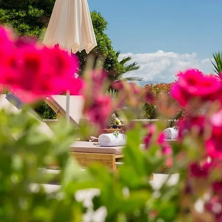 Corfu Town Garden House *
