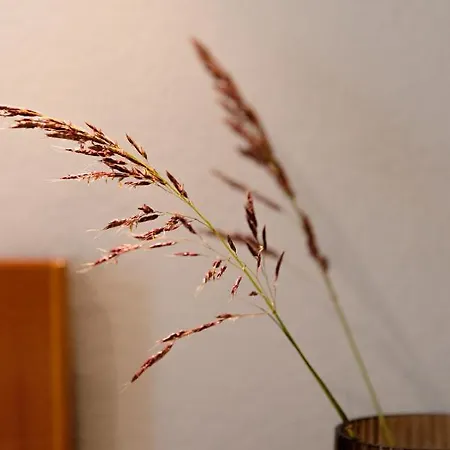 Appartement Kamini Kávos