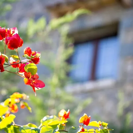 Villa Filia Stone Gouvia