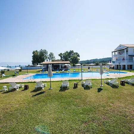 Corfu Sea Palm *