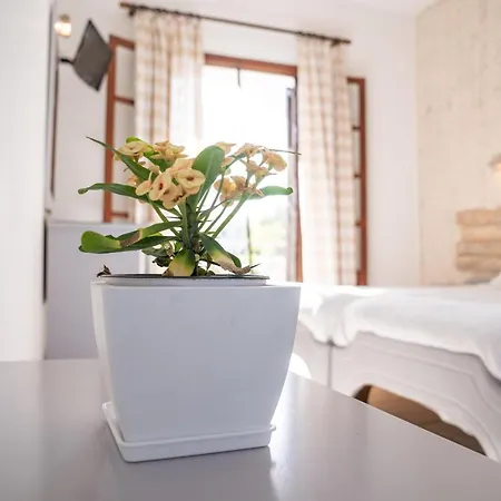 Aparthotel Del Sol Corfu 3*