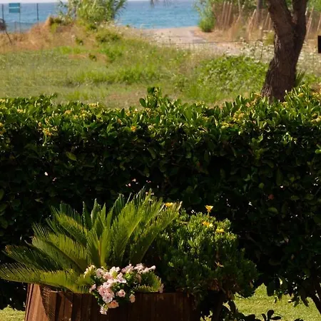 Aparthotel Tereza Acharavi (Corfu)