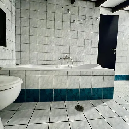 σοφιτα ξυλο μεταλο γυαλι Apartment
