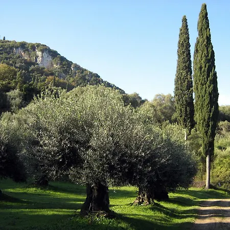 Appartement Avgoustina Venus Benitses (Corfu)