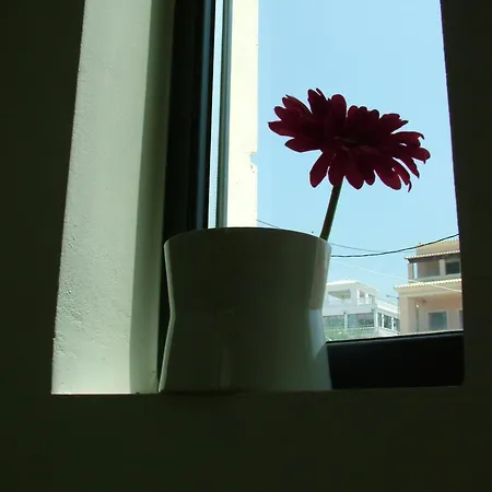 Apartment Sugar And Almond *