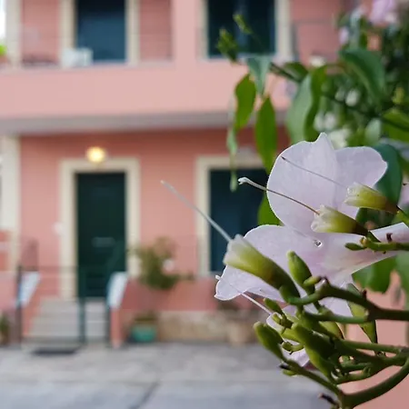 Apartment Filoxenia Corfu Dahlia And Jasmine