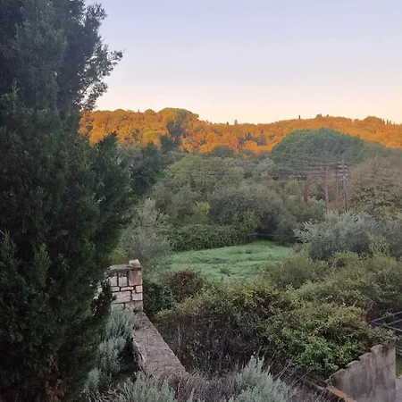 Apartment Zoe A Mountaintop Retreat