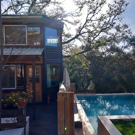 Romantic Tree House