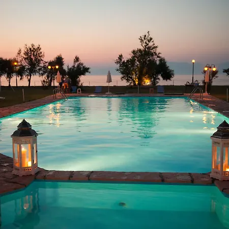 Corfu Sea Palm *