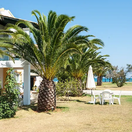 Corfu Sea Palm * Roda (Corfu)