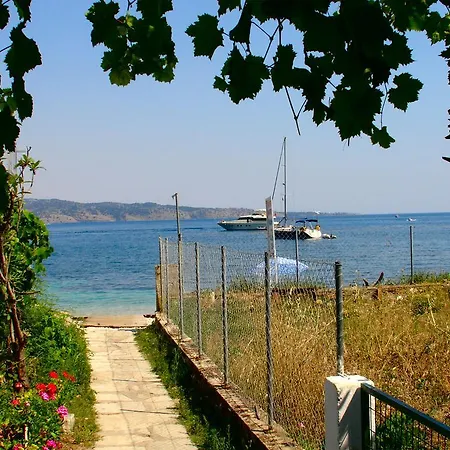 Lena Blue Sea