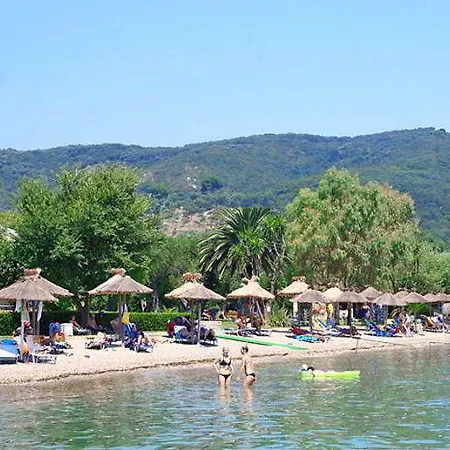 Hotel Delfinia 4*