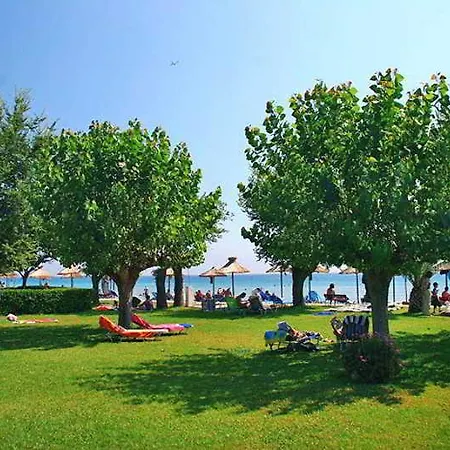 Delfinia 4* Moraitika