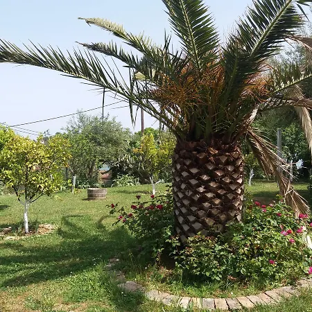 Apartment Athineos Kommeno (Corfu)