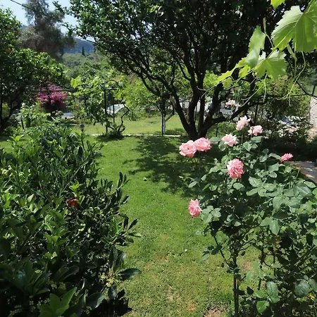 Garden House Kastellani Kastellanoi (Parelioi, Corfu)