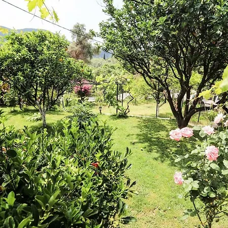 Garden House Kastellani Kastellanoi (Parelioi, Corfu)
