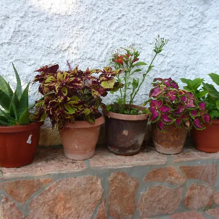 Apartment Kostas *