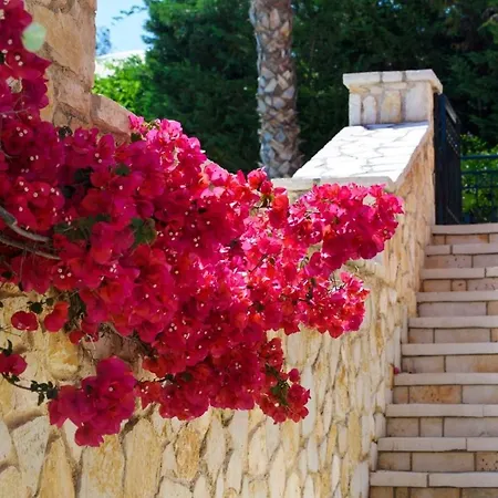 Luxury Corfu Rose Private Pool 4 Bdr Dassia Villa Dafnila