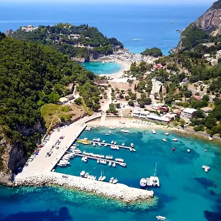 Dolphin * Paleokastritsa