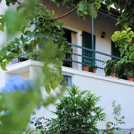 The Olive Grove By Konnect, Dasia