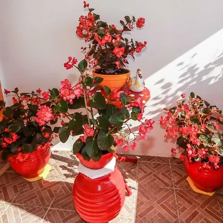 Apartment Elena Mesongi