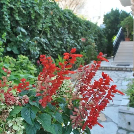 Dina Apartment Agios Gordios (Corfu)