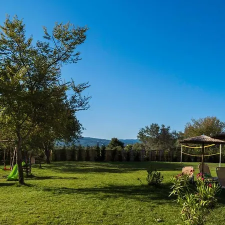Angela Hotel&apts Hotel Roda (Corfu)