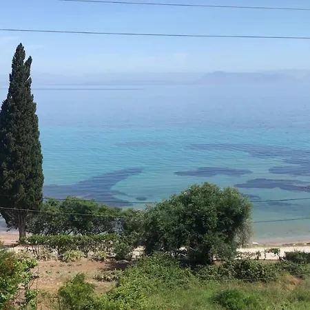 Aliki Studios