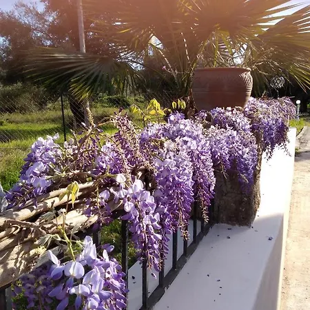 Artemis Dassia (Corfu)