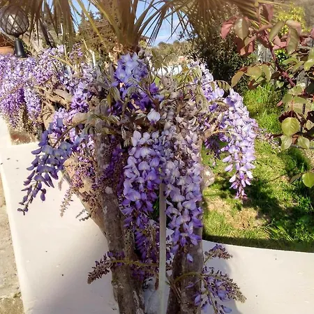 Artemis Dassia (Corfu)
