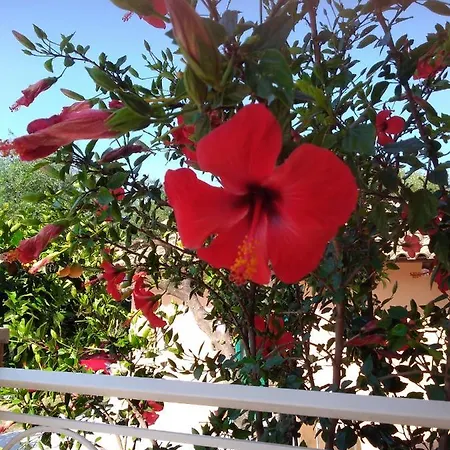 Appartement Artemis
