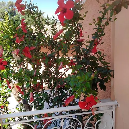 Appartement Artemis *
