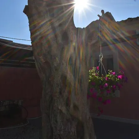 Casa Di Nina *