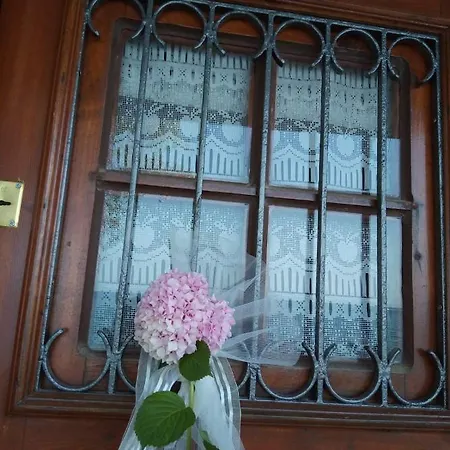 Angel's House