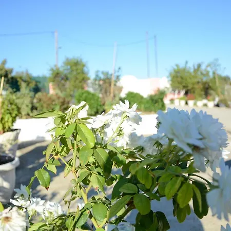 Vicky Corfu Holiday home Agios Ioannis (Corfu)