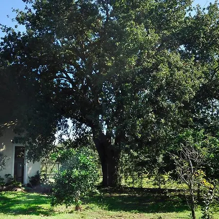 Gaia Villa *